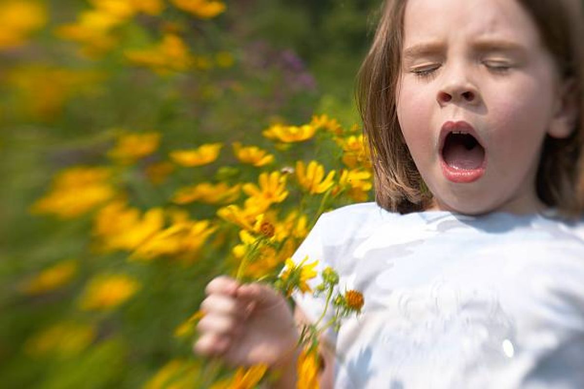 Allergies aux pollens