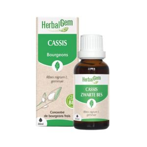 Herbalgem Cassis Macérat Bio Fl C-gtt/30ml
