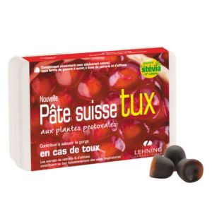 Pâte Suisse plantes pectorales 40 gommes