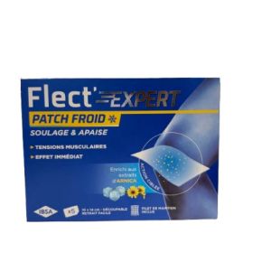 Flect'expert Patch Froid B/5