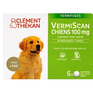 Vermiscan 100mg Cpr Boite de 4