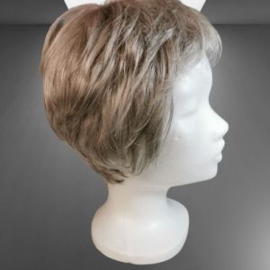 Perruque Josephine Courte Lisse Snow Mix