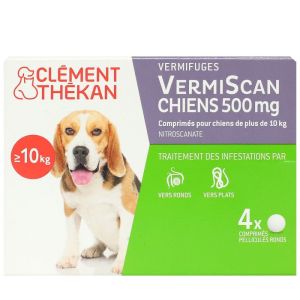 Vermiscan 500mg Cpr B/4