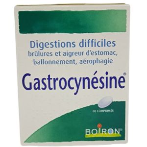 Gastrocynesine Comprimé Boîte de 60