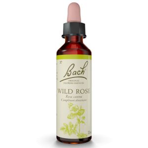 Wild Rose elixir Floral 20ml
