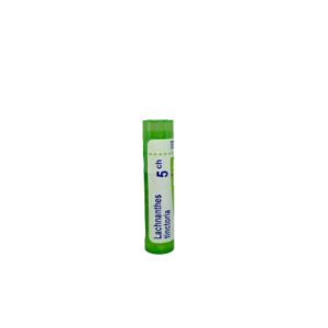 Lachnanthes Tinctoria Boiron 5ch Granulés Tube de 4g