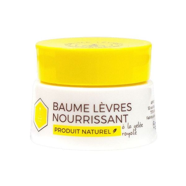 Baume Lèvres Nourrissant Pot de 6g
