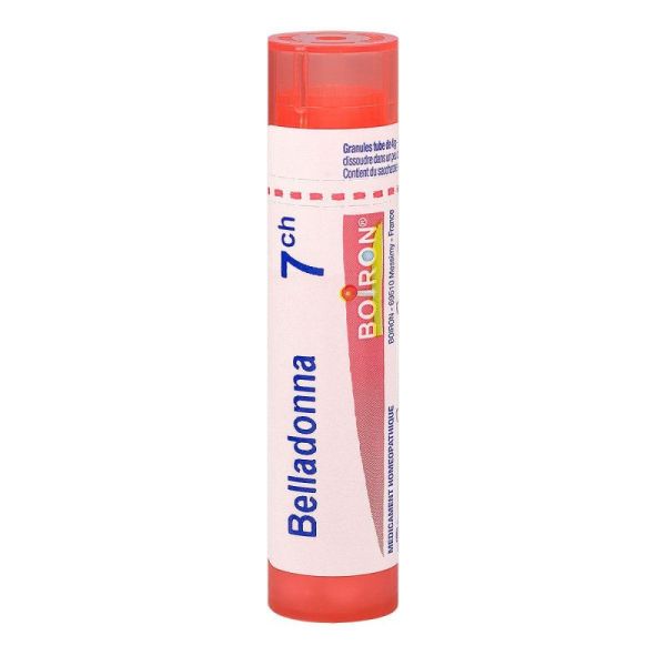Belladonna 7ch Tg B