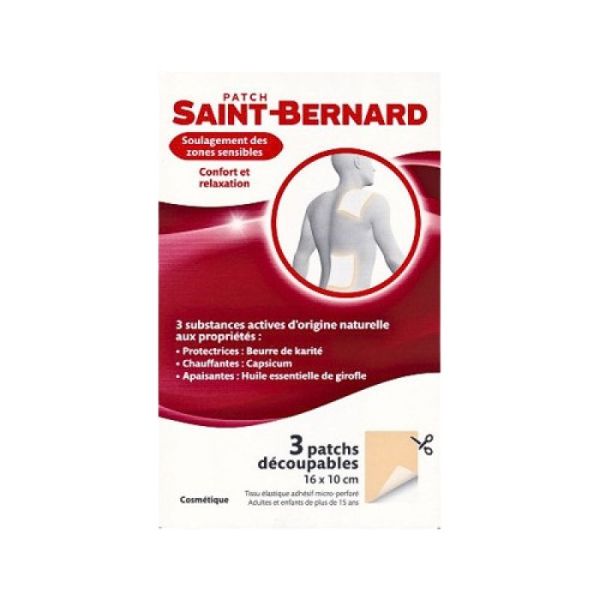 Saint-bernard Patch B/3