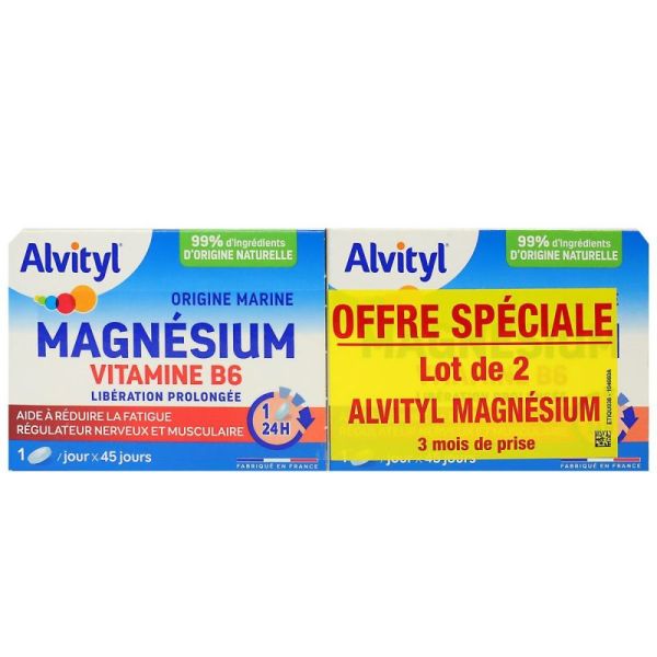 Alvityl Lib Prolongee Mg Vitb6 Cpr Lp 2b/45